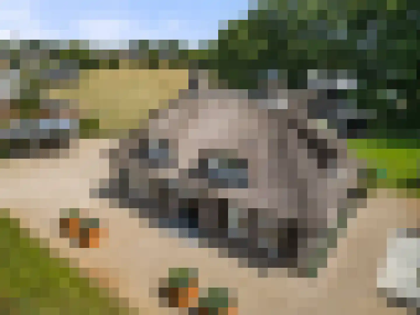Klomperweg 103 Lunteren thumbnail 71
