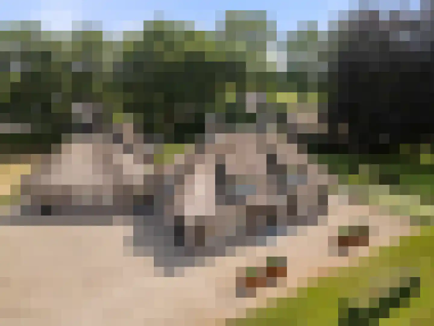 Klomperweg 103 Lunteren thumbnail 72