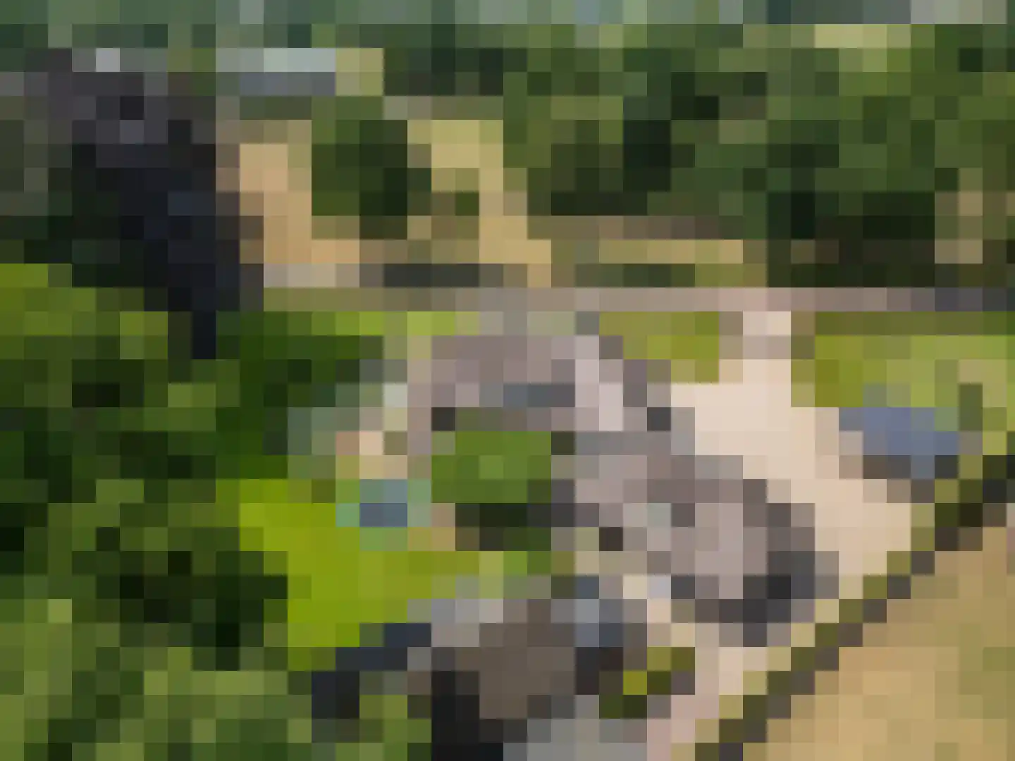 Klomperweg 103 Lunteren thumbnail 74