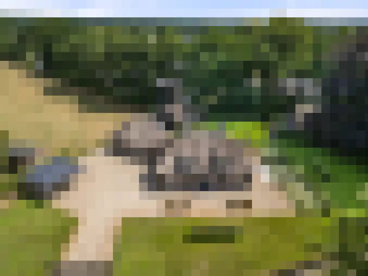 Klomperweg 103 Lunteren thumbnail 8