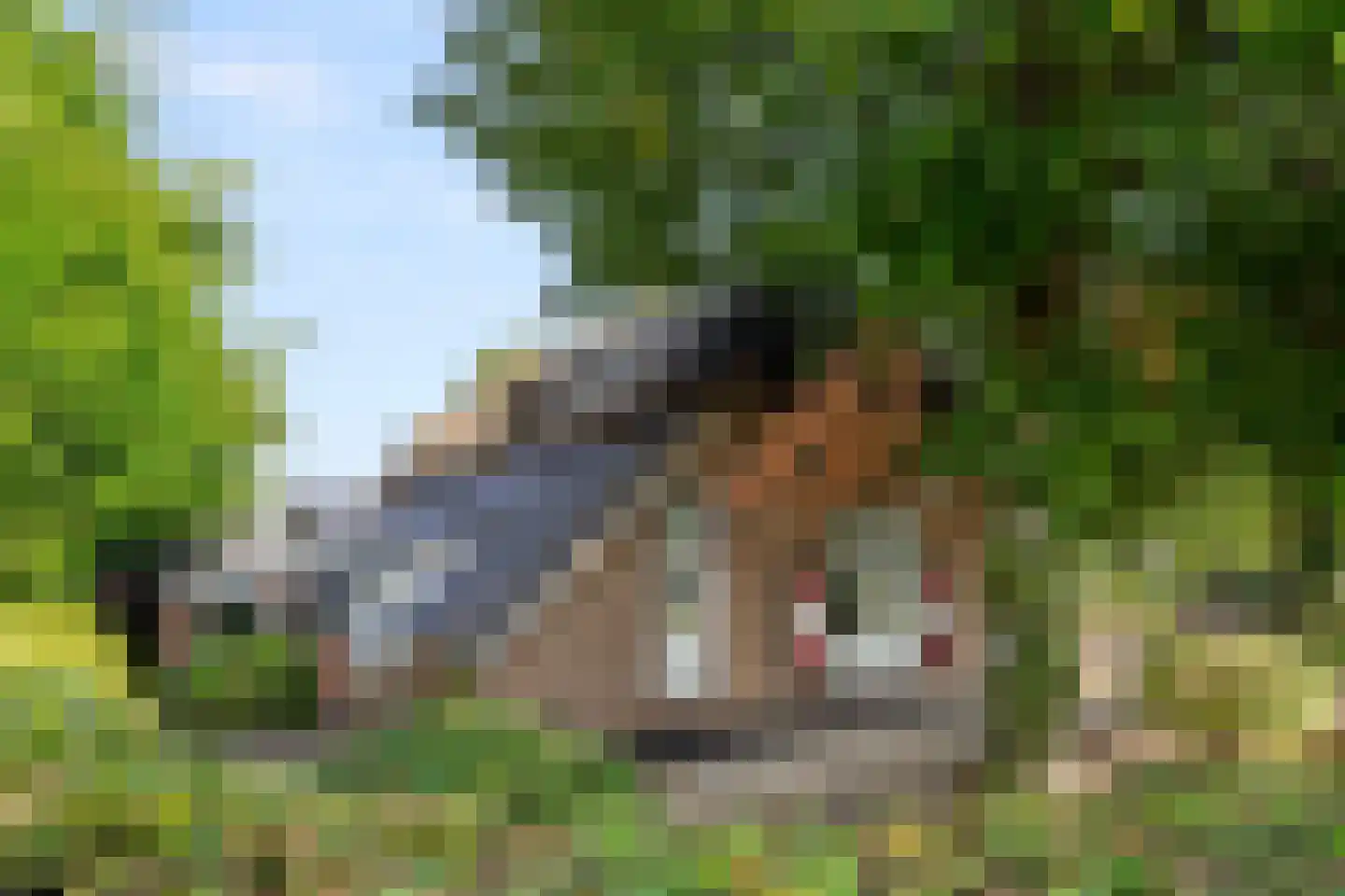 Klomperweg 122 Lunteren thumbnail 14