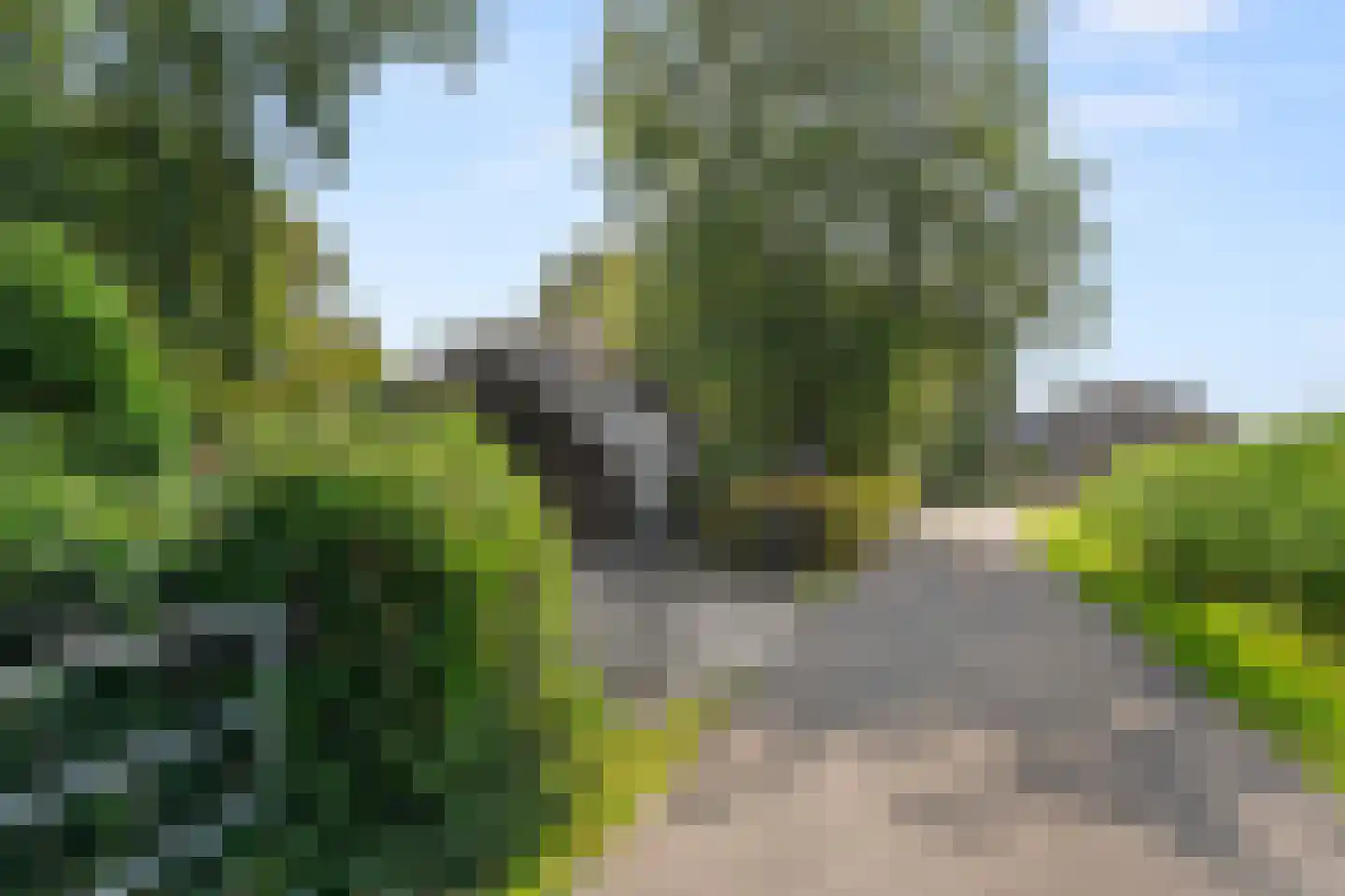 Klomperweg 122 Lunteren thumbnail 15