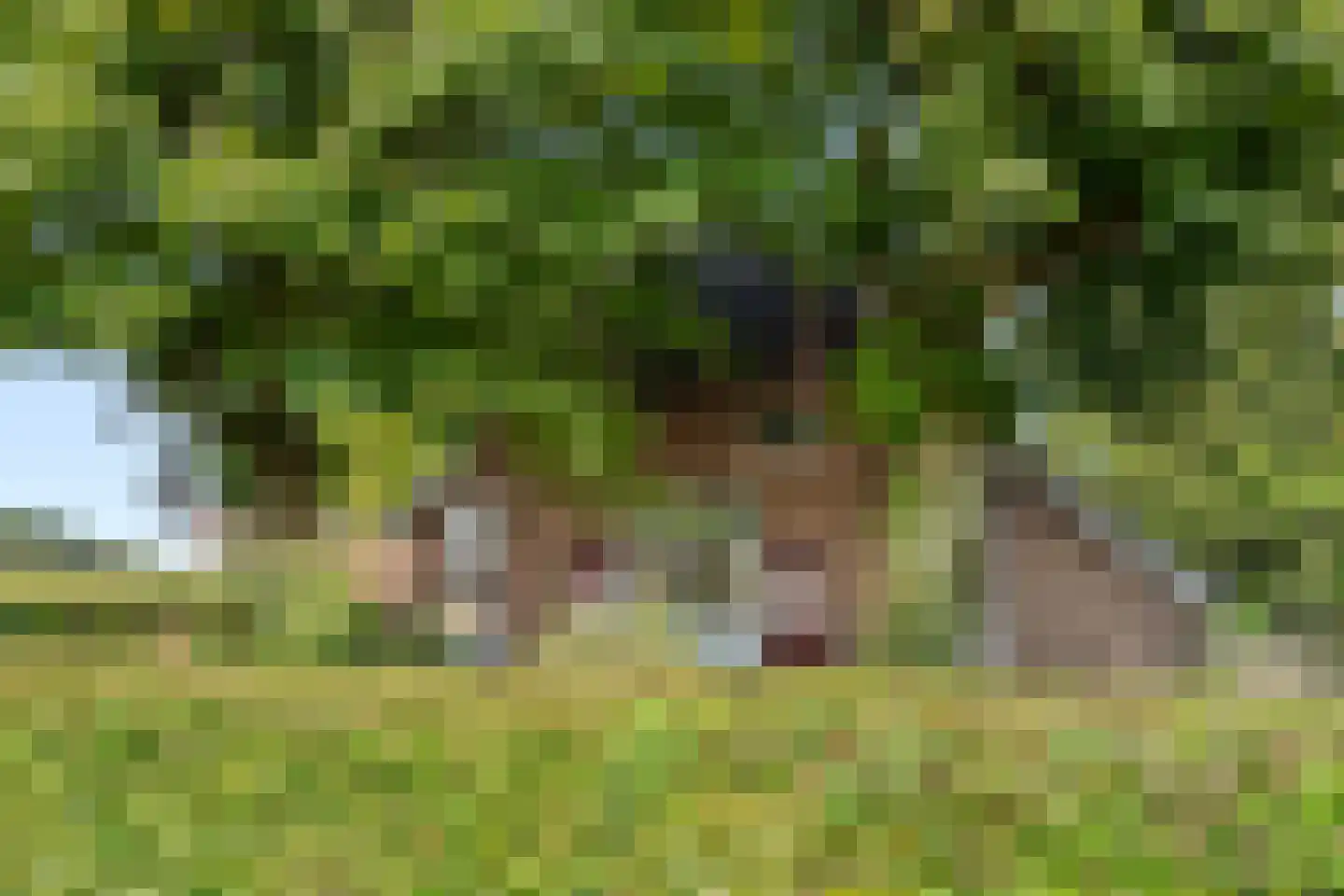 Klomperweg 122 Lunteren thumbnail 17