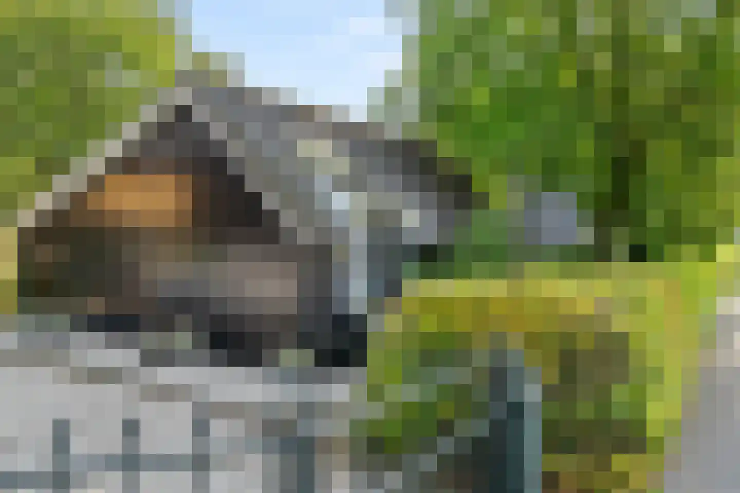 Klomperweg 122 Lunteren thumbnail 41