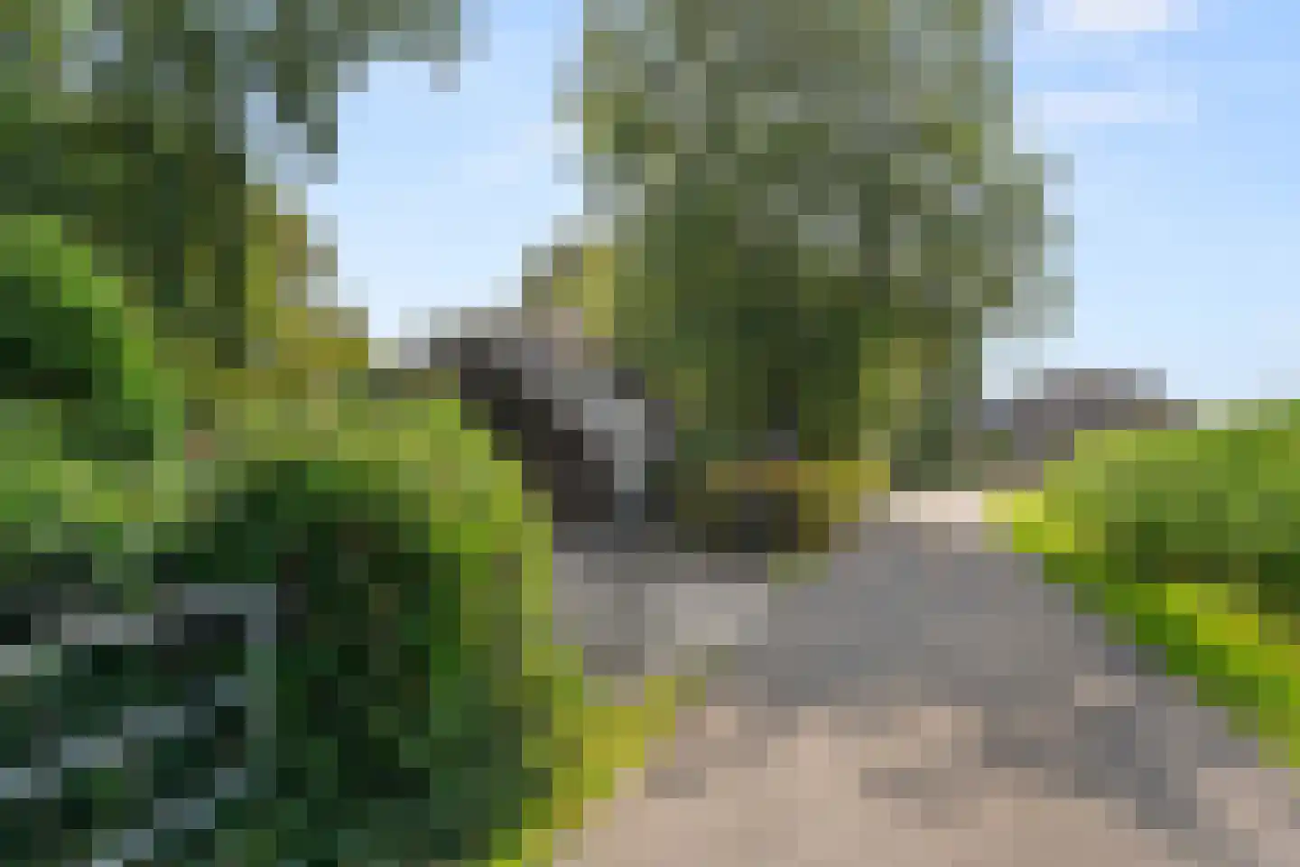 Klomperweg 122 Lunteren thumbnail 5