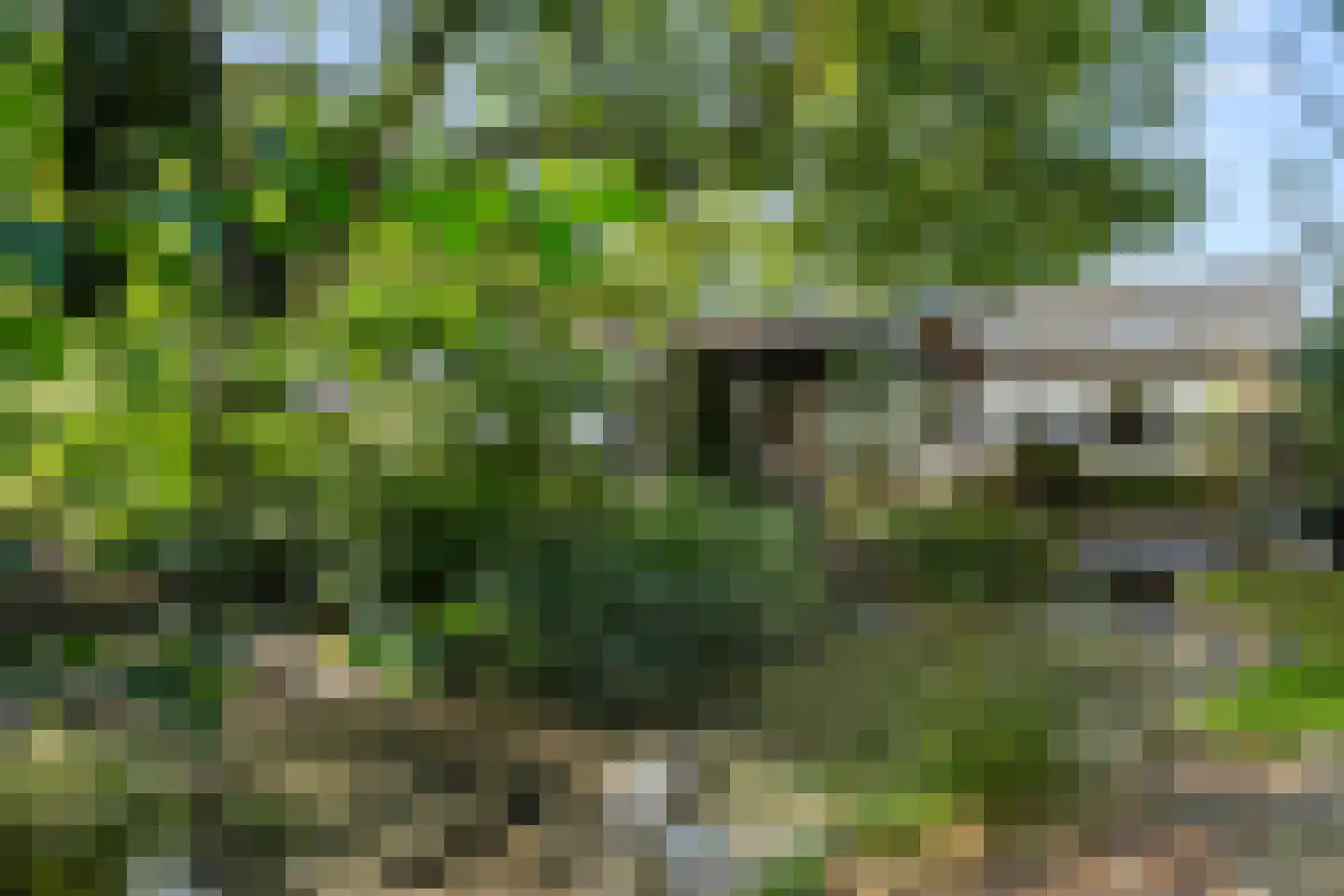 Klomperweg 122 Lunteren thumbnail 61