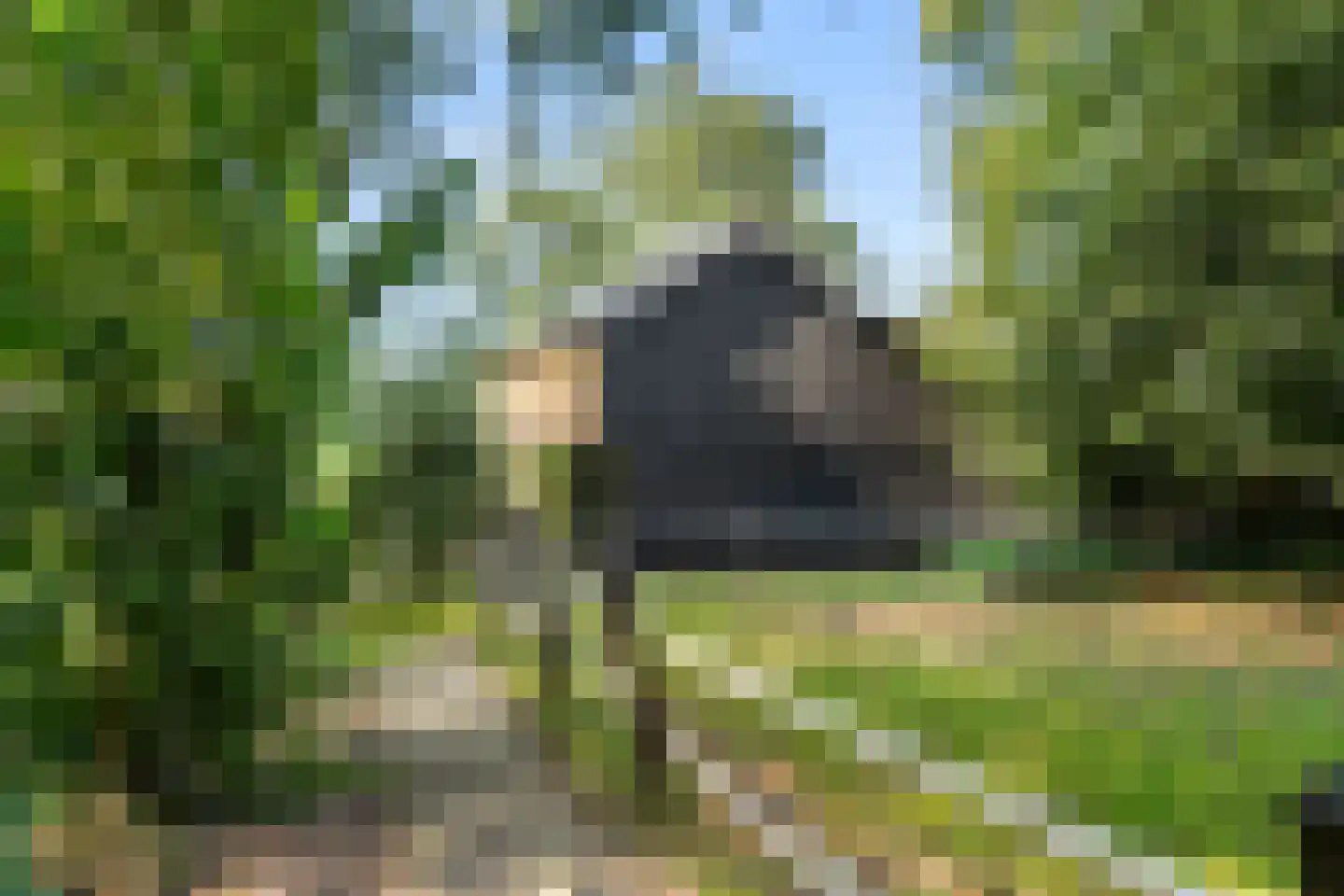 Klomperweg 122 Lunteren thumbnail 72