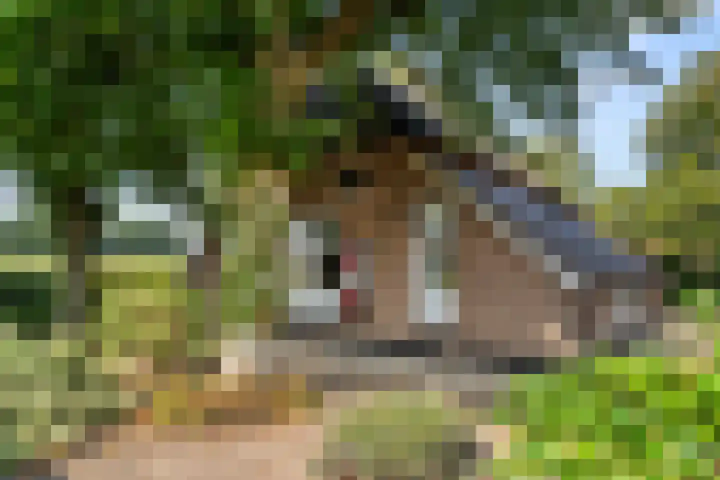 Klomperweg 122 Lunteren thumbnail 75