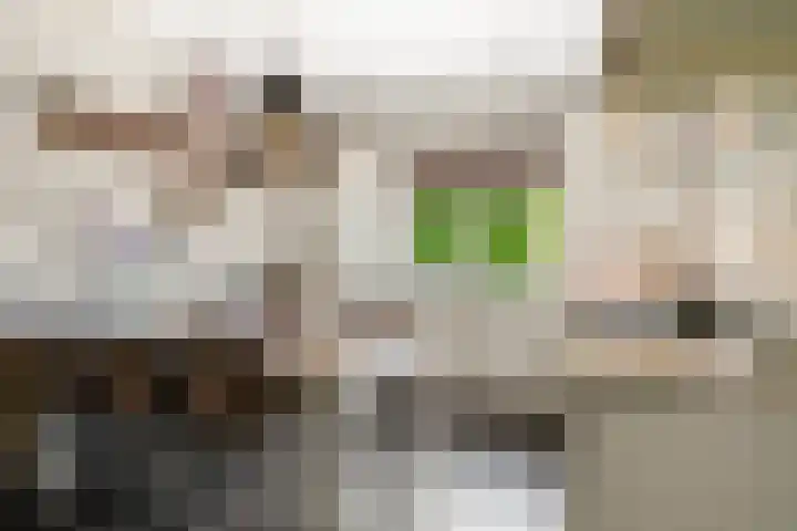 Klomperweg 131 Lunteren thumbnail 19