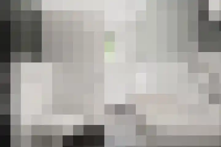 Klomperweg 131 Lunteren thumbnail 27