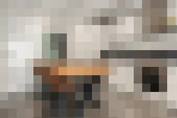 Klomperweg 131 Lunteren thumbnail 37