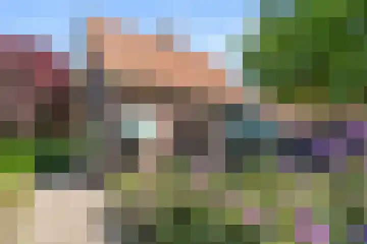Klomperweg 131 Lunteren thumbnail 4