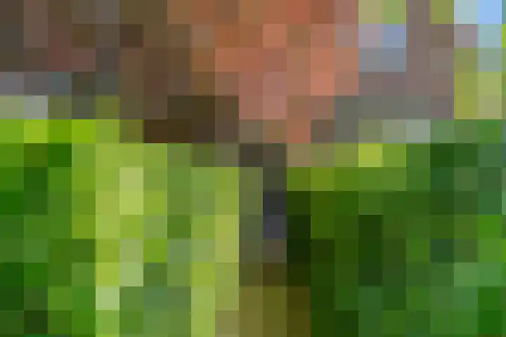 Klomperweg 131 Lunteren thumbnail 5