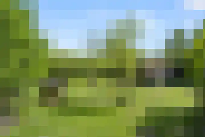 Klomperweg 131 Lunteren thumbnail 50