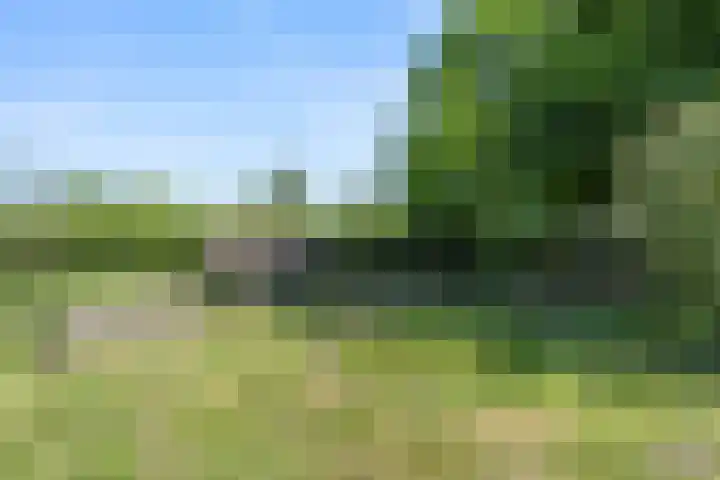 Klomperweg 131 Lunteren thumbnail 51