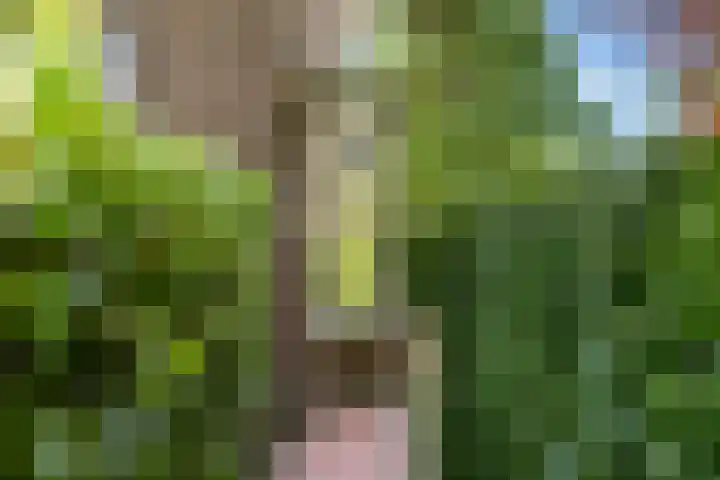 Klomperweg 131 Lunteren thumbnail 54