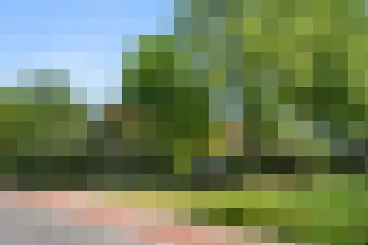 Klomperweg 131 Lunteren thumbnail 55