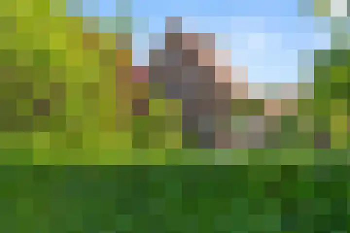 Klomperweg 131 Lunteren thumbnail 6