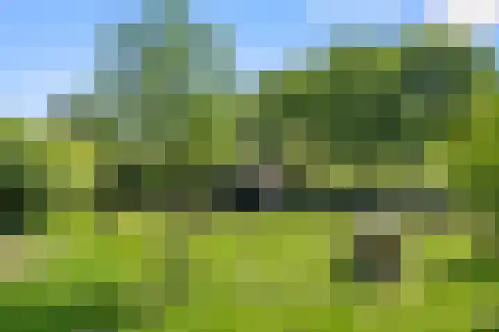 Klomperweg 131 Lunteren thumbnail 7