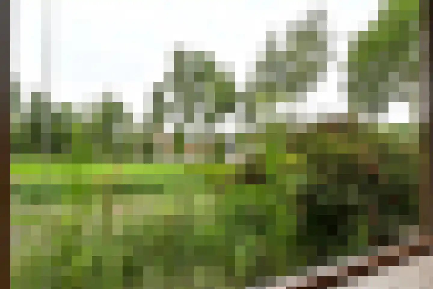 Klomperweg 158 Lunteren thumbnail 10