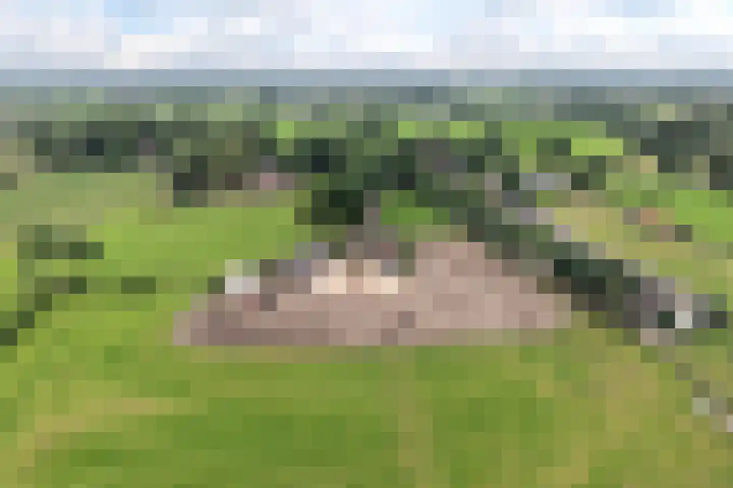 Klomperweg 158 Lunteren thumbnail 4