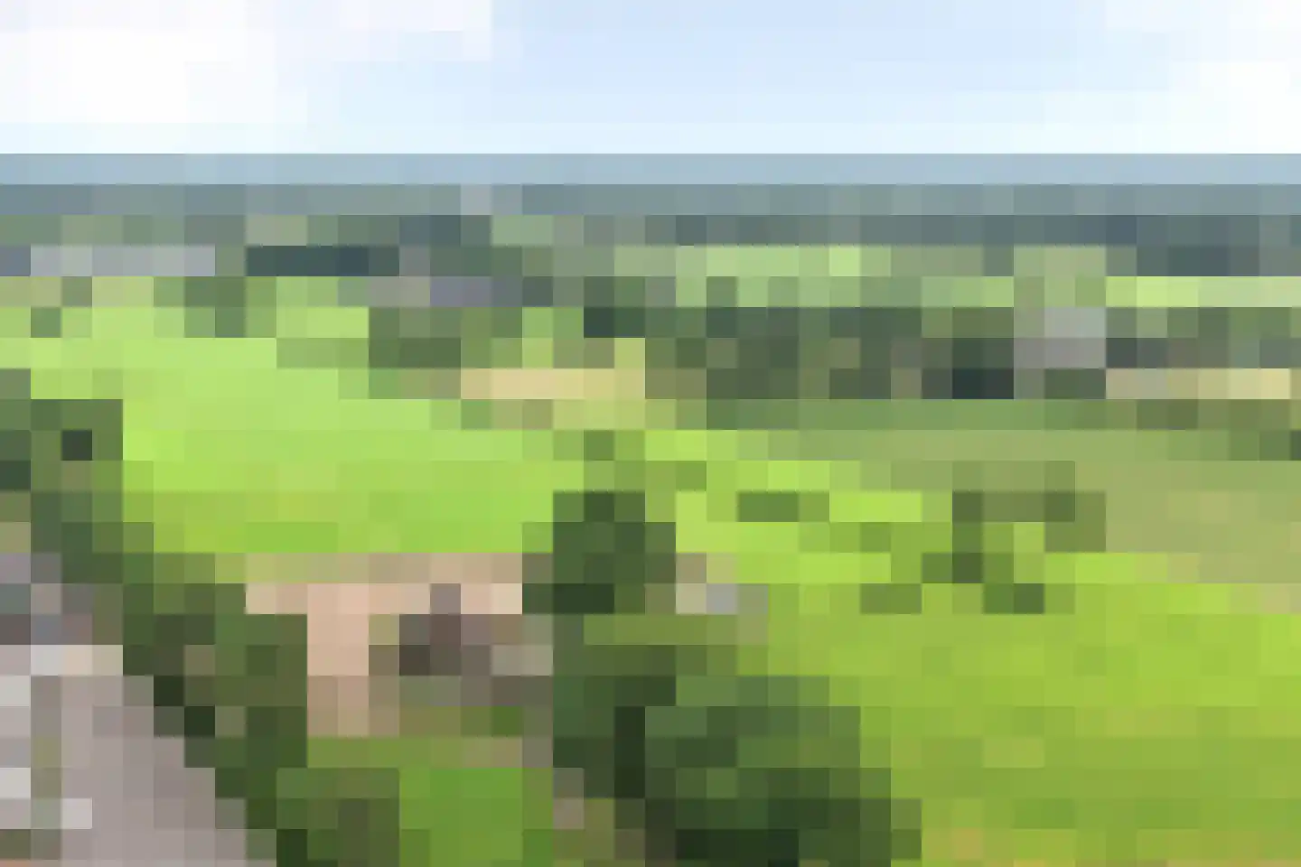 Klomperweg 158 Lunteren thumbnail 5