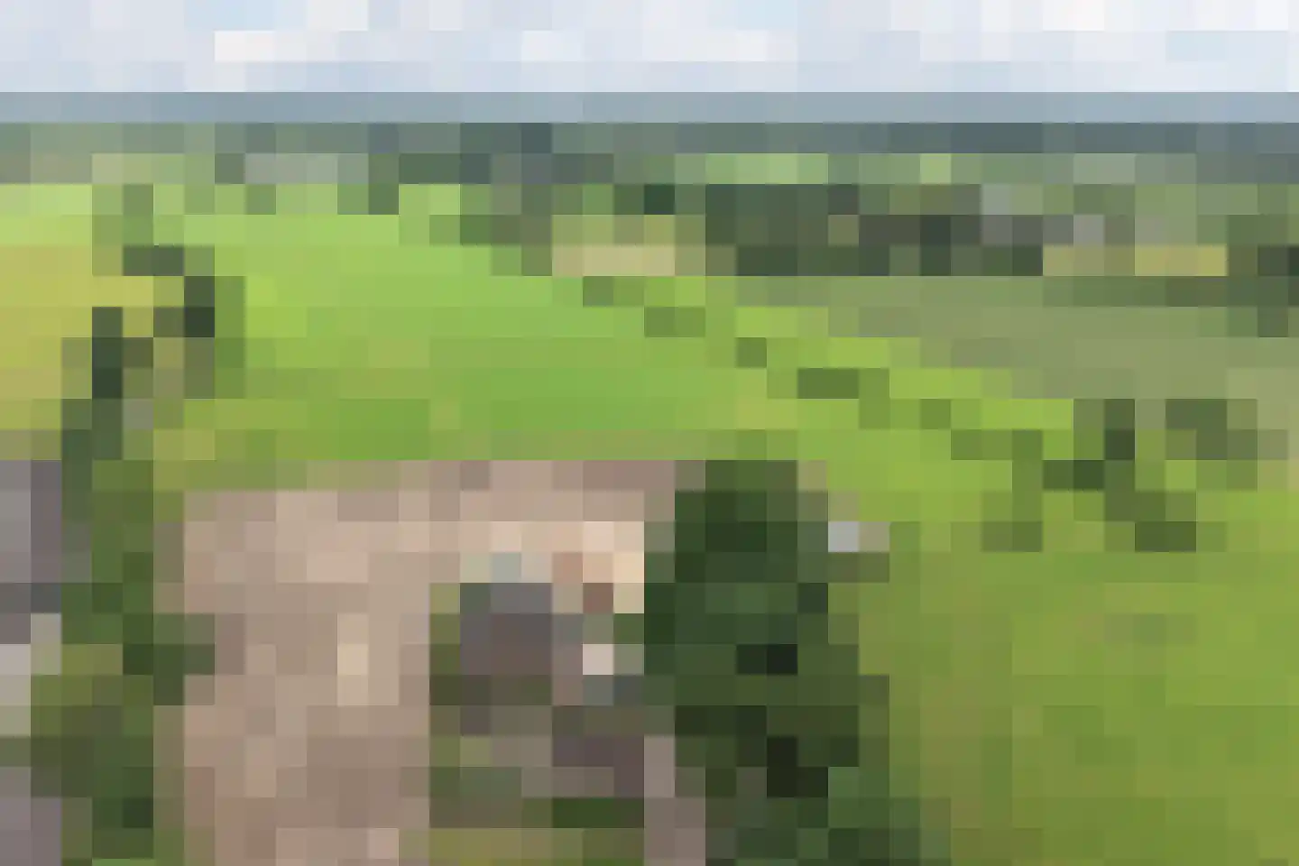 Klomperweg 158 Lunteren thumbnail 6
