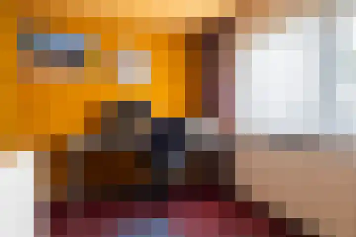 Klomperweg 29 Lunteren thumbnail 20