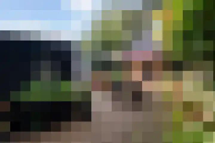 Klomperweg 29 Lunteren thumbnail 31