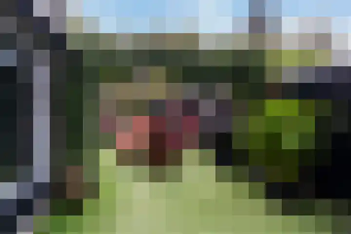 Klomperweg 29 Lunteren thumbnail 36