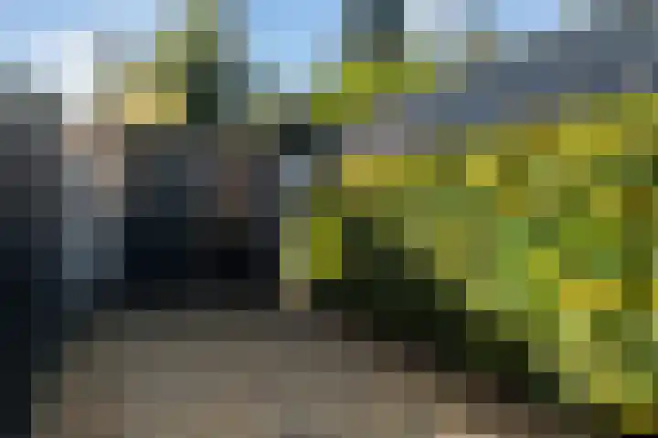 Klomperweg 29 Lunteren thumbnail 37