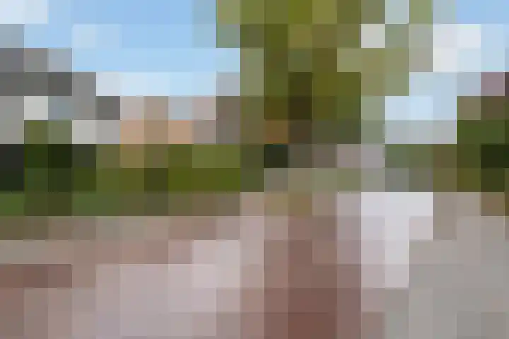 Klomperweg 29 Lunteren thumbnail 43
