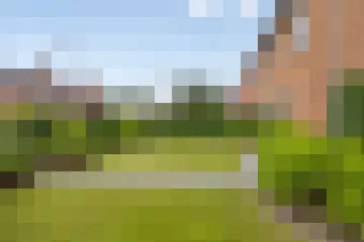 Klomperweg 38 Lunteren thumbnail 35