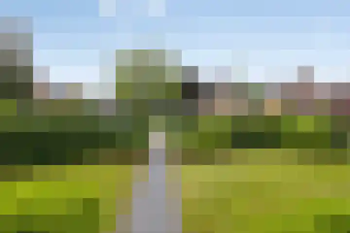 Klomperweg 38 Lunteren thumbnail 36