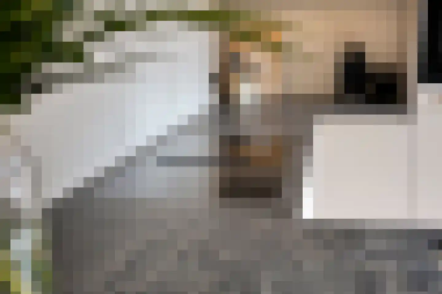 Klomperweg 73 Lunteren thumbnail 15