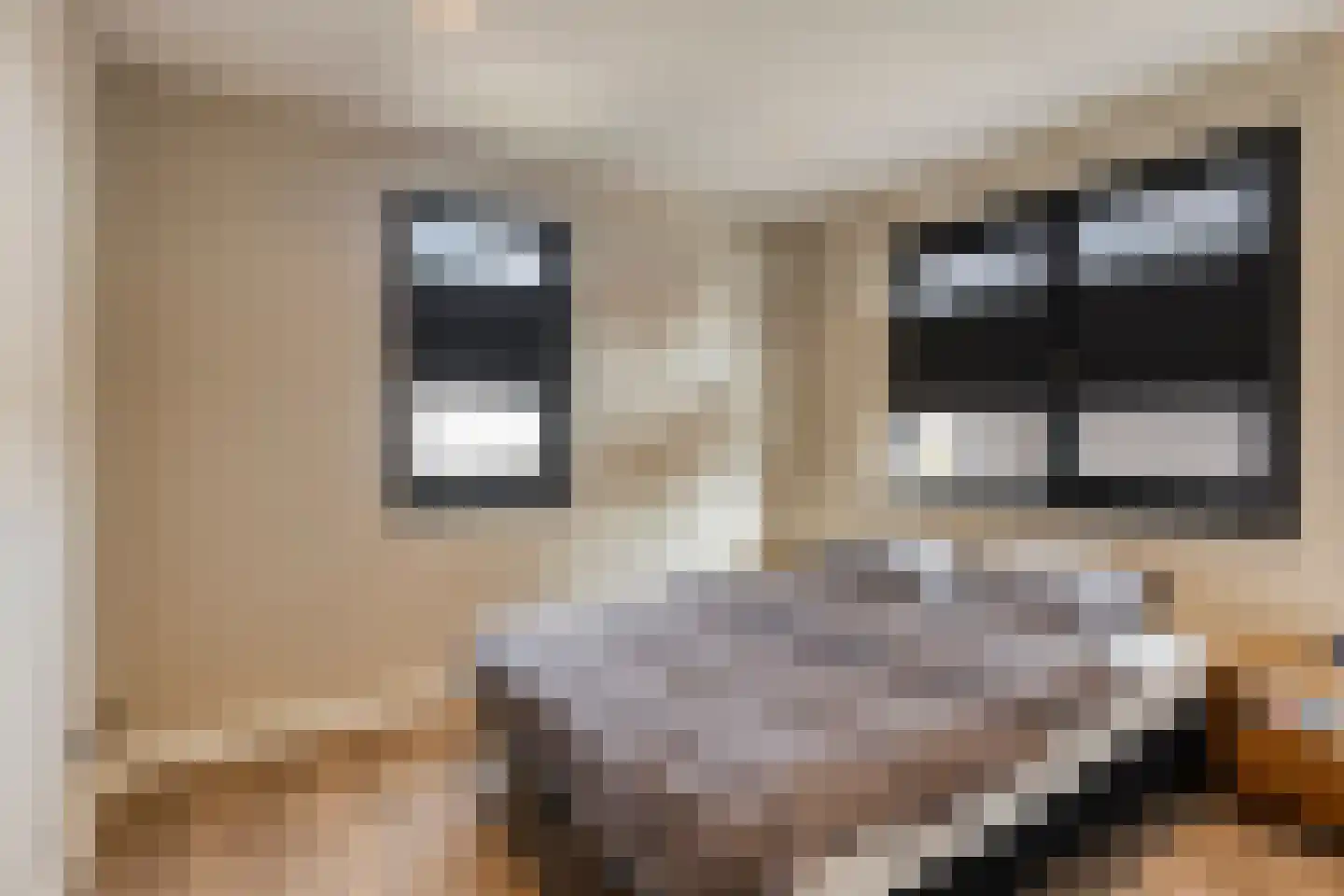Klomperweg 73 Lunteren thumbnail 25