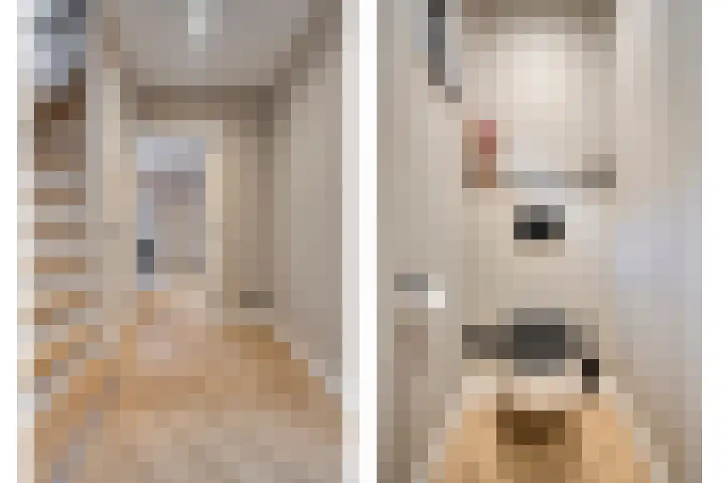 Klomperweg 73 Lunteren thumbnail 6