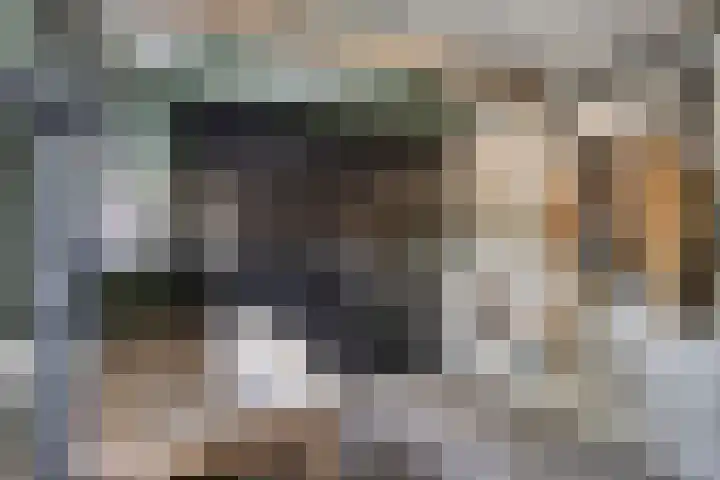 Klomperweg 8 Lunteren thumbnail 18