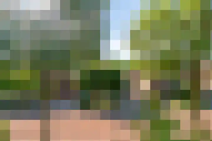 Klomperweg 8 Lunteren thumbnail 24