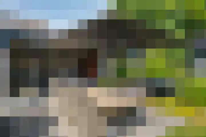 Klomperweg 8 Lunteren thumbnail 35