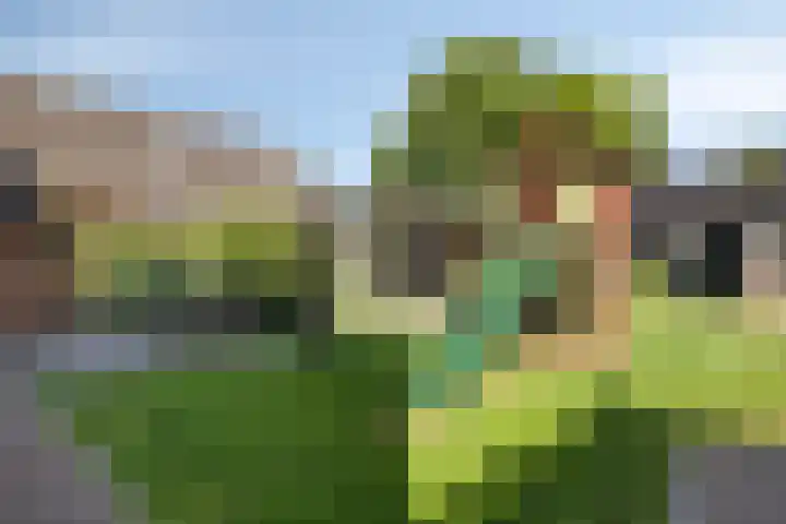 Klomperweg 8 Lunteren thumbnail 41