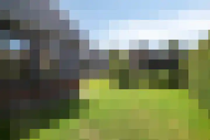 Klomperweg 8 Lunteren thumbnail 42