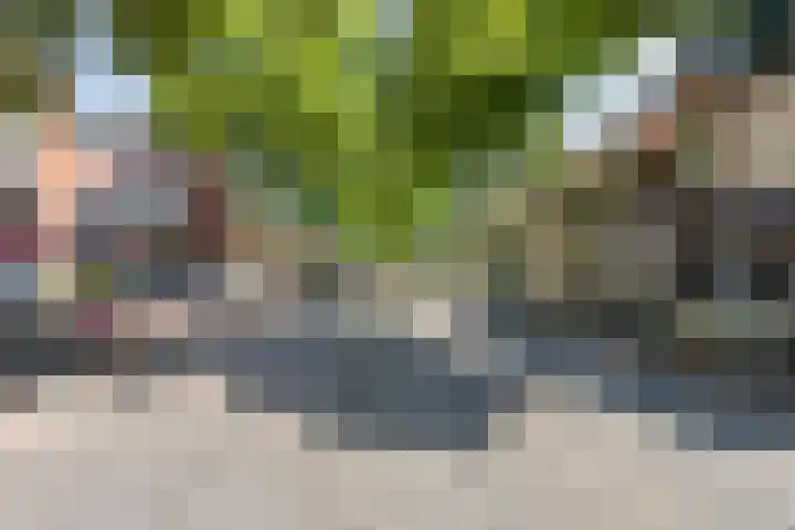 Klomperweg 8 Lunteren thumbnail 52
