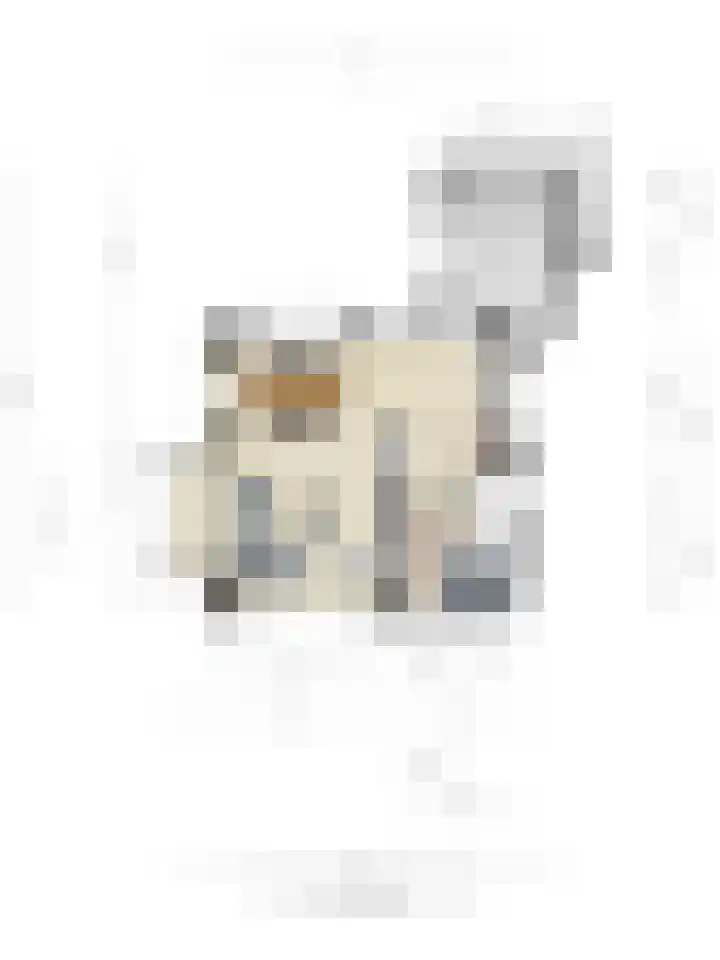 Klomperweg 8 Lunteren thumbnail 54