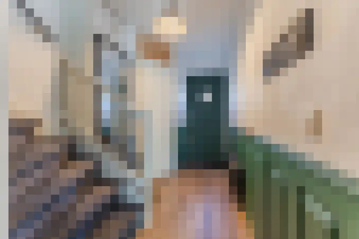 Klompéstraat 16 Rotterdam thumbnail 16