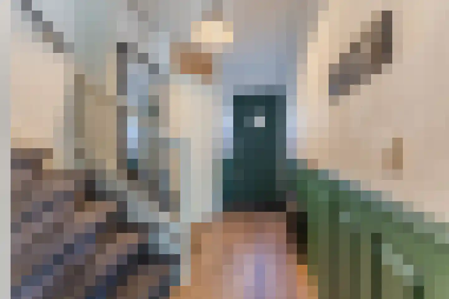 Klompéstraat 16 Rotterdam thumbnail 17