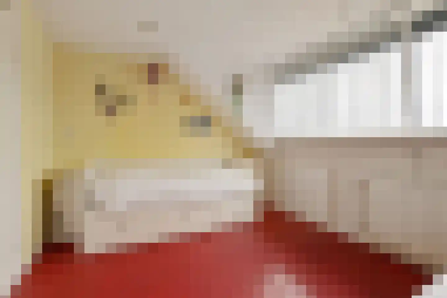 Klompéstraat 8 Naaldwijk thumbnail 32