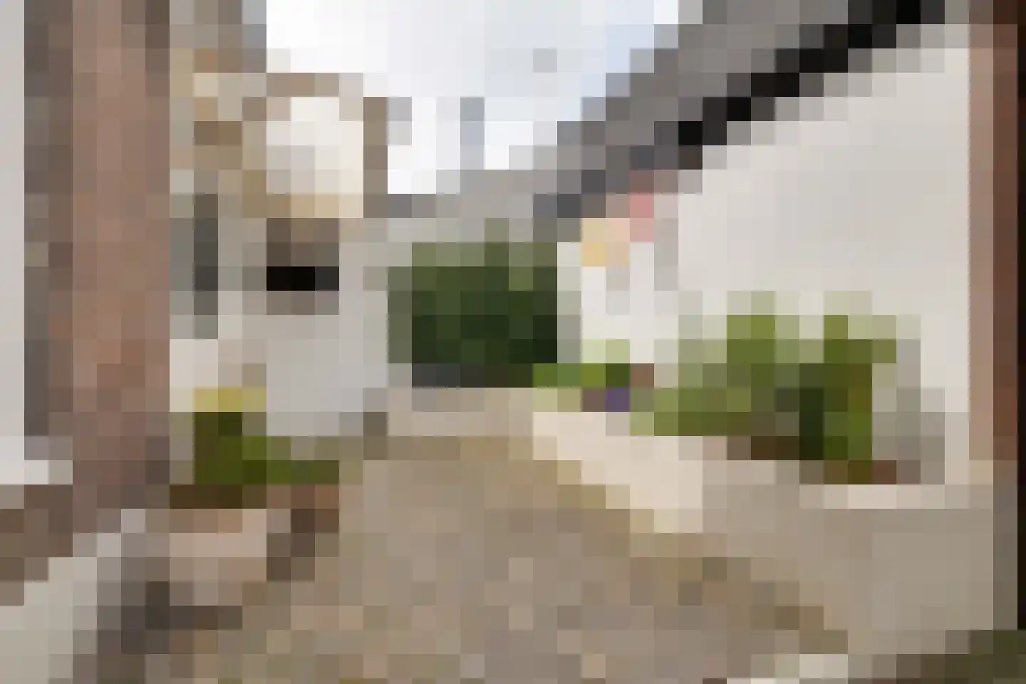 Klompstraat 1 Apeldoorn thumbnail 30