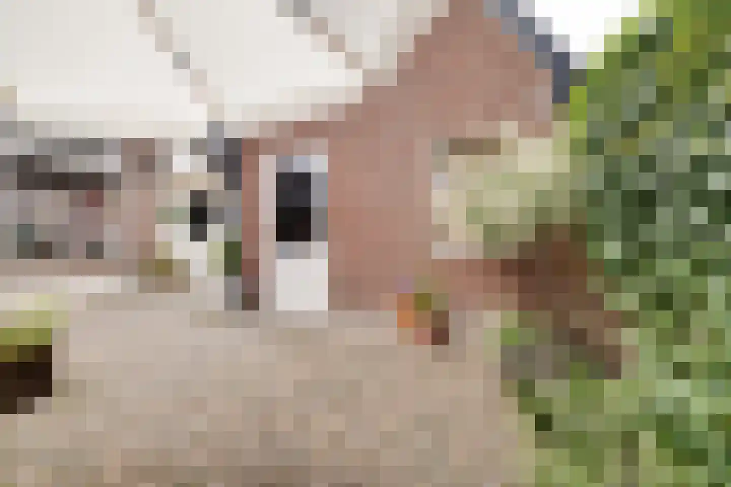 Klompstraat 1 Apeldoorn thumbnail 33