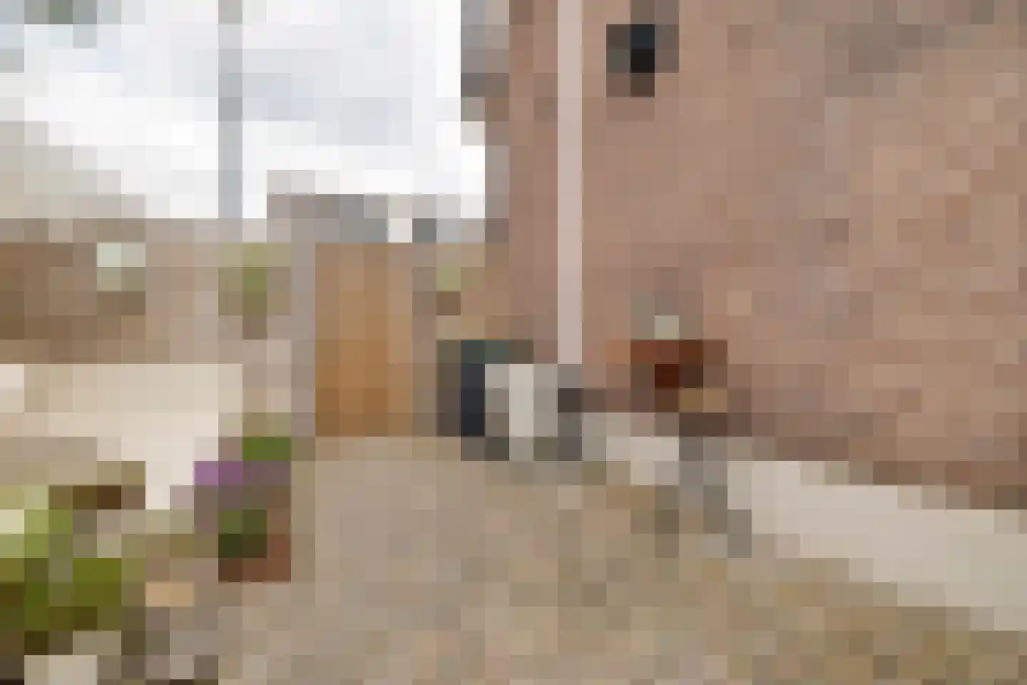Klompstraat 1 Apeldoorn thumbnail 35